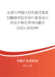 全球與中國注射用柔紅霉素阿糖胞苷脂質體行業(yè)發(fā)展分析及市場前景預測報告(2025-2030年) 全球與中國注射用柔紅霉素阿糖胞苷脂質體行業(yè)發(fā)展分析及市場前景預測報告(2025-2030年)