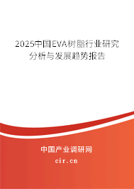 2024中國(guó)EVA樹(shù)脂行業(yè)研究分析與發(fā)展趨勢(shì)報(bào)告 2024中國(guó)EVA樹(shù)脂行業(yè)研究分析與發(fā)展趨勢(shì)報(bào)告
