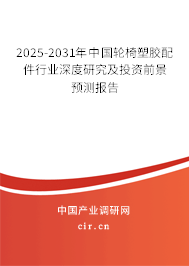 2025-2031年中國輪椅塑膠配件行業(yè)深度研究及投資前景預測報告
