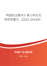 中國鈑金模具行業(yè)分析及前景趨勢報告（2025-2031年）