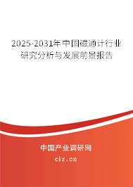 2025-2031年中國磁通計行業(yè)研究分析與發(fā)展前景報告 2025-2031年中國磁通計行業(yè)研究分析與發(fā)展前景報告