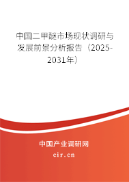 中國二甲醚市場現(xiàn)狀調(diào)研與發(fā)展前景分析報告（2025-2031年）