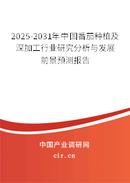 2025-2031年中國番茄種植及深加工行業(yè)研究分析與發(fā)展前景預(yù)測報告