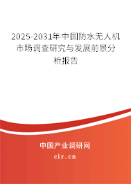 2025-2031年中國(guó)防水無(wú)人機(jī)市場(chǎng)調(diào)查研究與發(fā)展前景分析報(bào)告