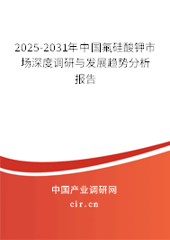 2025-2031年中國氟硅酸鉀市場深度調研與發(fā)展趨勢分析報告