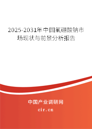 2025-2031年中國氟硼酸鈉市場現(xiàn)狀與前景分析報告