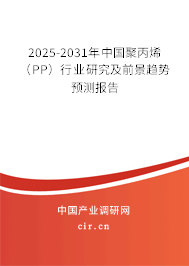 2025-2031年中國(guó)聚丙烯（PP）行業(yè)研究及前景趨勢(shì)預(yù)測(cè)報(bào)告