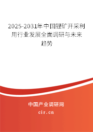 2025-2031年中國(guó)鋰礦開(kāi)采利用行業(yè)發(fā)展全面調(diào)研與未來(lái)趨勢(shì) 2025-2031年中國(guó)鋰礦開(kāi)采利用行業(yè)發(fā)展全面調(diào)研與未來(lái)趨勢(shì)