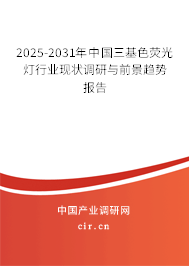 2025-2031年中國三基色熒光燈行業(yè)現(xiàn)狀調研與前景趨勢報告 2025-2031年中國三基色熒光燈行業(yè)現(xiàn)狀調研與前景趨勢報告