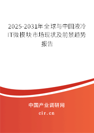 2025-2031年全球與中國液冷IT微模塊市場現(xiàn)狀及前景趨勢報告 2025-2031年全球與中國液冷IT微模塊市場現(xiàn)狀及前景趨勢報告