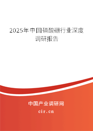 2025年中國(guó)磷酸硼行業(yè)深度調(diào)研報(bào)告 2025年中國(guó)磷酸硼行業(yè)深度調(diào)研報(bào)告