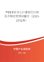 中國浮水背心行業(yè)研究分析及市場前景預(yù)測報(bào)告（2025-2031年）