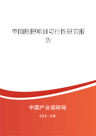 中國拖把項目可行性研究報告 中國拖把項目可行性研究報告
