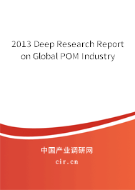 2013 Deep Research Report on Global POM Industry