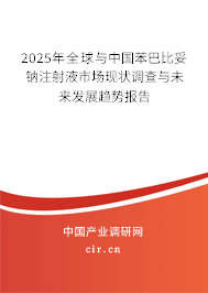 2025年全球與中國苯巴比妥鈉注射液市場現狀調查與未來發(fā)展趨勢報告 2025年全球與中國苯巴比妥鈉注射液市場現狀調查與未來發(fā)展趨勢報告