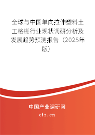 全球與中國單向拉伸塑料土工格柵行業(yè)現(xiàn)狀調(diào)研分析及發(fā)展趨勢預(yù)測報告(2025年版) 全球與中國單向拉伸塑料土工格柵行業(yè)現(xiàn)狀調(diào)研分析及發(fā)展趨勢預(yù)測報告(2025年版)