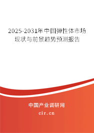 2025-2031年中國彈性體市場現(xiàn)狀與前景趨勢預測報告 2025-2031年中國彈性體市場現(xiàn)狀與前景趨勢預測報告
