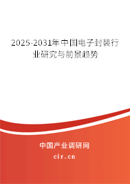 2025-2031年中國(guó)電子封裝行業(yè)研究與前景趨勢(shì) 2025-2031年中國(guó)電子封裝行業(yè)研究與前景趨勢(shì)