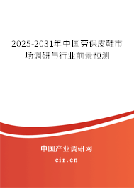2025-2031年中國勞保皮鞋市場調研與行業(yè)前景預測
