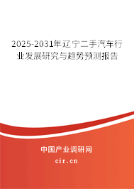 2025-2031年遼寧二手汽車行業(yè)發(fā)展研究與趨勢(shì)預(yù)測(cè)報(bào)告