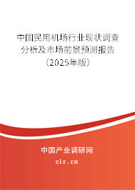 中國民用機場行業(yè)現(xiàn)狀調(diào)查分析及市場前景預測報告（2025年版）