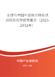全球與中國牛皮靴市場現(xiàn)狀調(diào)研及前景趨勢報告（2025-2031年）