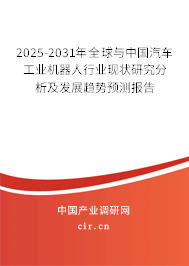 2024-2030年全球與中國汽車工業(yè)機器人行業(yè)現狀研究分析及發(fā)展趨勢預測報告