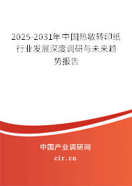 2025-2031年中國熱敏轉印紙行業(yè)發(fā)展深度調研與未來趨勢報告