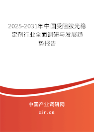 2024-2030年中國受阻胺光穩(wěn)定劑行業(yè)全面調研與發(fā)展趨勢報告 2024-2030年中國受阻胺光穩(wěn)定劑行業(yè)全面調研與發(fā)展趨勢報告