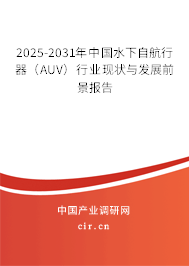 2025-2031年中國(guó)水下自航行器（AUV）行業(yè)現(xiàn)狀與發(fā)展前景報(bào)告
