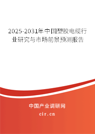 2025-2031年中國(guó)塑膠電纜行業(yè)研究與市場(chǎng)前景預(yù)測(cè)報(bào)告
