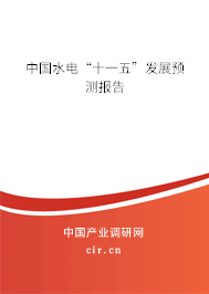 中國(guó)水電“十一五”發(fā)展預(yù)測(cè)報(bào)告