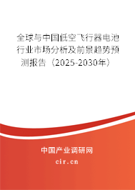 全球與中國低空飛行器電池行業(yè)市場(chǎng)分析及前景趨勢(shì)預(yù)測(cè)報(bào)告（2025-2030年）