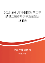 2025-2031年中國聚對苯二甲酰己二胺市場調(diào)研及前景分析報告 2025-2031年中國聚對苯二甲酰己二胺市場調(diào)研及前景分析報告