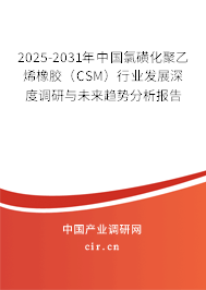 2025-2031年中國氯磺化聚乙烯橡膠(CSM)行業(yè)發(fā)展深度調(diào)研與未來趨勢分析報告 2025-2031年中國氯磺化聚乙烯橡膠(CSM)行業(yè)發(fā)展深度調(diào)研與未來趨勢分析報告