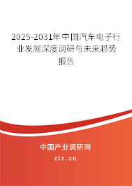 2025-2031年中國汽車電子行業(yè)發(fā)展深度調(diào)研與未來趨勢報告