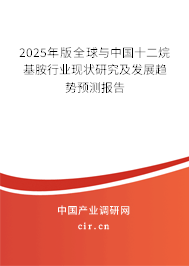 2024年版全球與中國十二烷基胺行業(yè)現狀研究及發(fā)展趨勢預測報告 2024年版全球與中國十二烷基胺行業(yè)現狀研究及發(fā)展趨勢預測報告