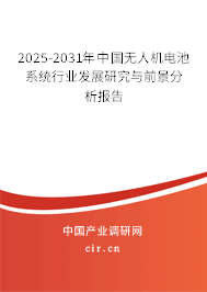 2025-2031年中國無人機電池系統(tǒng)行業(yè)發(fā)展研究與前景分析報告