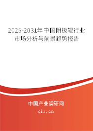 2025-2031年中國(guó)陰極輥行業(yè)市場(chǎng)分析與前景趨勢(shì)報(bào)告 2025-2031年中國(guó)陰極輥行業(yè)市場(chǎng)分析與前景趨勢(shì)報(bào)告