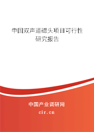 中國雙聲道磁頭項目可行性研究報告 中國雙聲道磁頭項目可行性研究報告