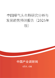 中國曝氣頭市場研究分析與發(fā)展趨勢預(yù)測報告（2025年版）
