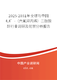 2025-2031年全球與中國4,4’-(六氟異丙烯)二酞酸酐行業(yè)調(diào)研及前景分析報(bào)告 2025-2031年全球與中國4,4’-(六氟異丙烯)二酞酸酐行業(yè)調(diào)研及前景分析報(bào)告