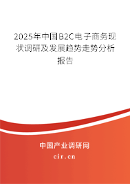 2025年中國B2C電子商務(wù)現(xiàn)狀調(diào)研及發(fā)展趨勢走勢分析報(bào)告