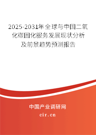 2025-2031年全球與中國二氧化碳固化服務(wù)發(fā)展現(xiàn)狀分析及前景趨勢預(yù)測報(bào)告 2025-2031年全球與中國二氧化碳固化服務(wù)發(fā)展現(xiàn)狀分析及前景趨勢預(yù)測報(bào)告