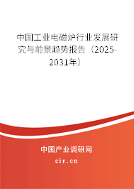 中國工業(yè)電磁爐行業(yè)發(fā)展研究與前景趨勢報告（2025-2031年）
