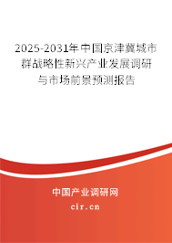 2025-2031年中國京津冀城市群戰(zhàn)略性新興產(chǎn)業(yè)發(fā)展調(diào)研與市場前景預(yù)測報告 2025-2031年中國京津冀城市群戰(zhàn)略性新興產(chǎn)業(yè)發(fā)展調(diào)研與市場前景預(yù)測報告