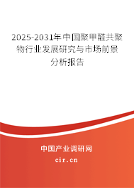 2025-2031年中國聚甲醛共聚物行業(yè)發(fā)展研究與市場前景分析報告 2025-2031年中國聚甲醛共聚物行業(yè)發(fā)展研究與市場前景分析報告