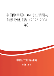 中國(guó)聚甲醛POM行業(yè)調(diào)研與前景分析報(bào)告（2025-2031年）