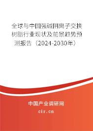 全球與中國(guó)強(qiáng)堿陰離子交換樹(shù)脂行業(yè)現(xiàn)狀及前景趨勢(shì)預(yù)測(cè)報(bào)告（2024-2030年）