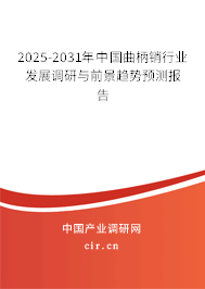2025-2031年中國曲柄銷行業(yè)發(fā)展調研與前景趨勢預測報告 2025-2031年中國曲柄銷行業(yè)發(fā)展調研與前景趨勢預測報告